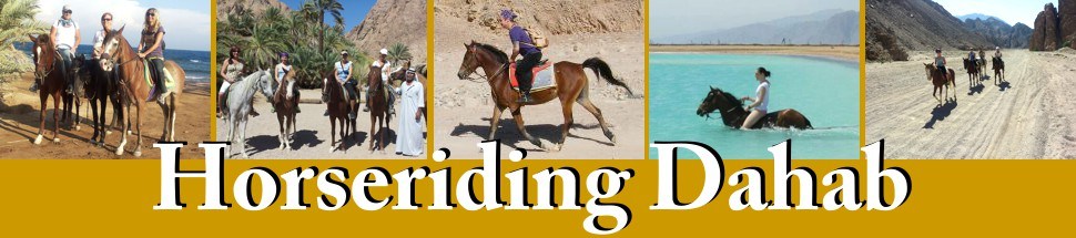 Horseriding Dahab | Pferdereiten / Pferdeausritte in Dahab