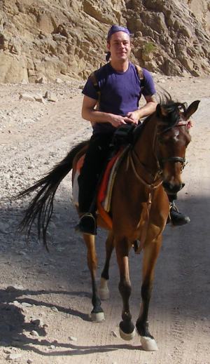 Horseride Dahab Egypth