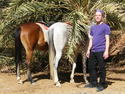 Pferdeausflge Dahab Sinai gypten