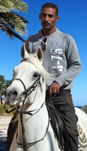 Horseriding Dahab Rotes Meer Sinai