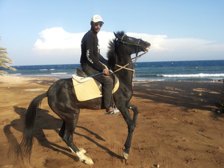 Contact Horse Riding Dahab Egypt