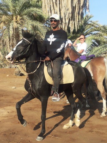 Contact Horse Riding Dahab Egypt
