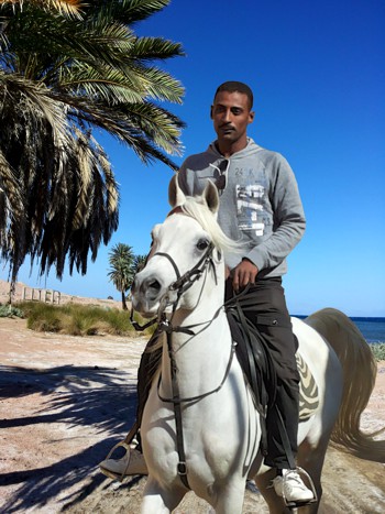 Horseride Dahab Sinai