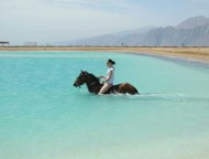 Horse tour The laguna Dahab Egypt